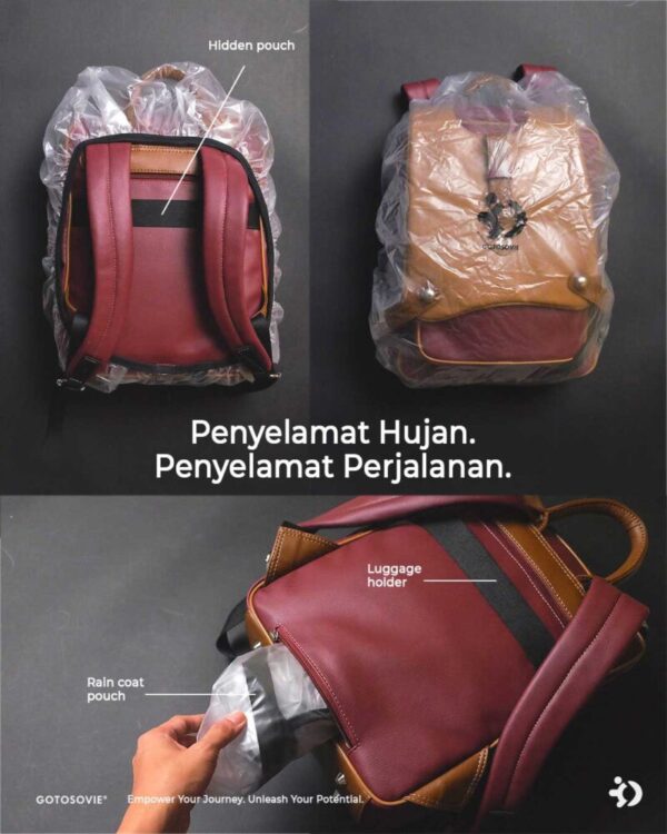 PO ERIKO PB 2.5  MAROON CHESTNUT - Image 6